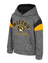 Mizzou Tigers Colosseum Toddler Wizard City Missouri Tigers Oval Tiger Head Grey Hoodie