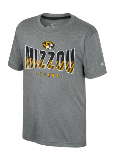Mizzou Tigers Colosseum Youth Freddy Oval Tiger Head Grey T-Shirt
