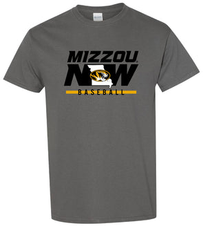 Mizzou Tigers 2024 Baseball NOW State Oval Tiger Head Grey T-Shirt