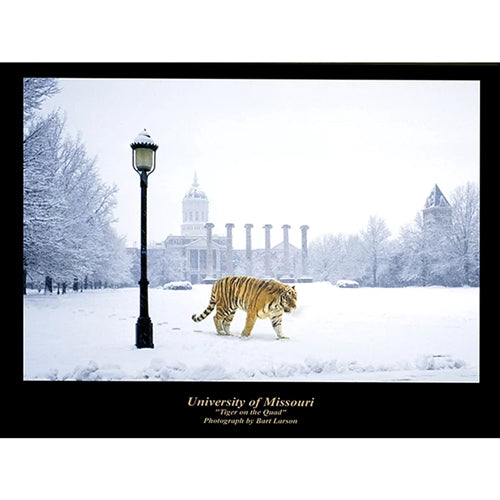 Mizzou "Tiger On Quad" Matted Print