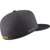 Mizzou Nike® On the Field Replica Fitted Baseball Oval Tiger Head Grey Hat